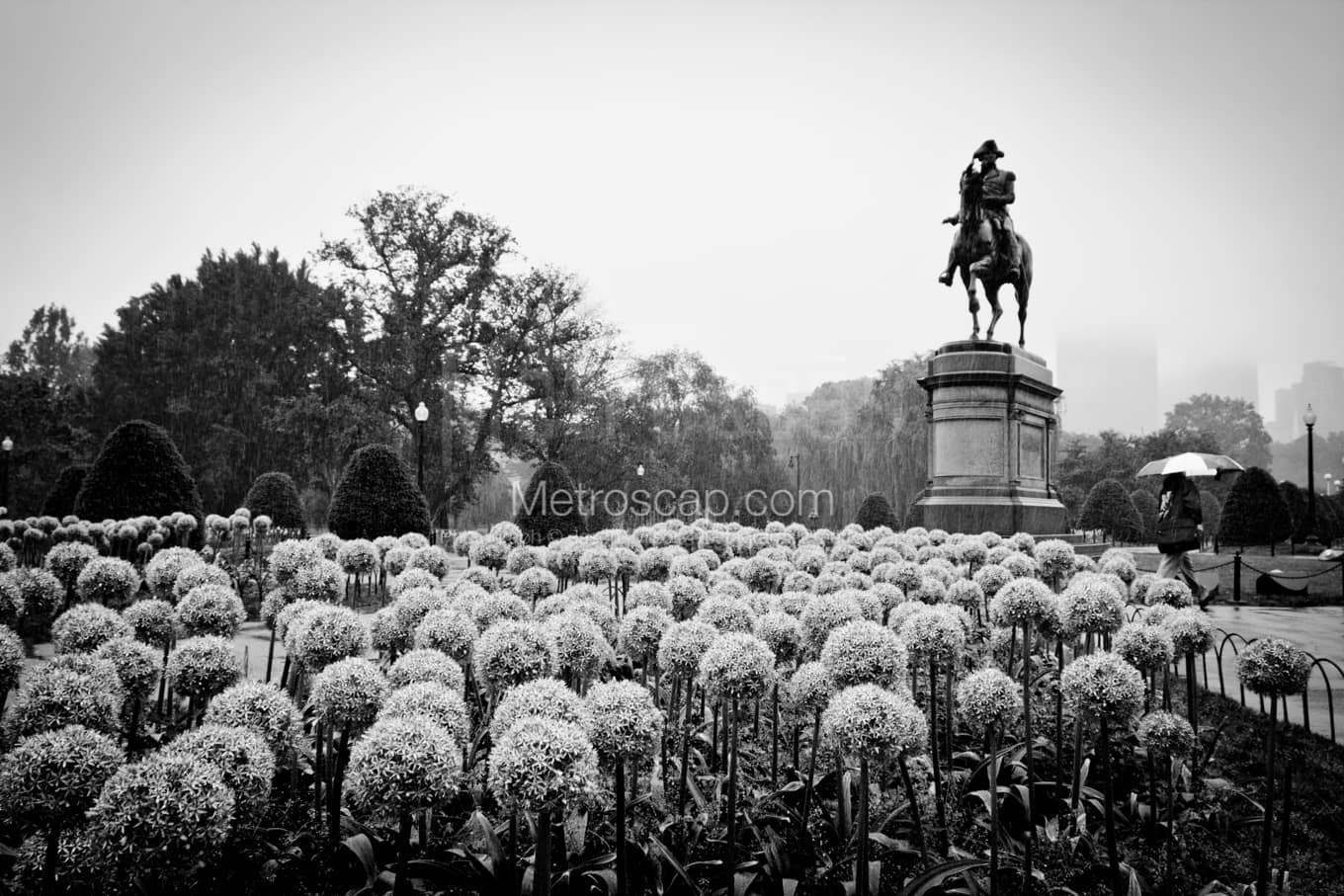 Black & White Boston Architecture Pictures