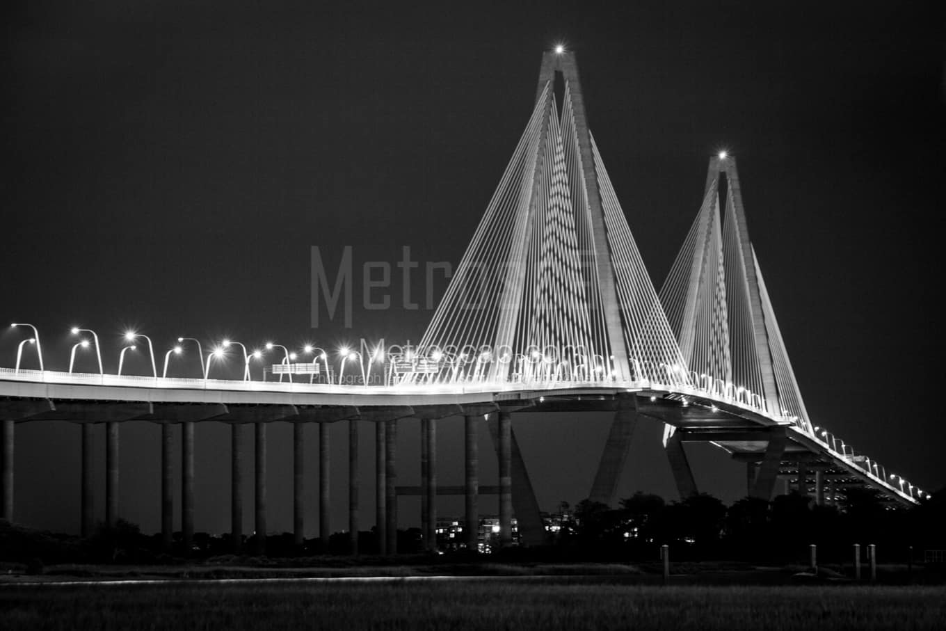 Black & White Charleston Architecture Pictures