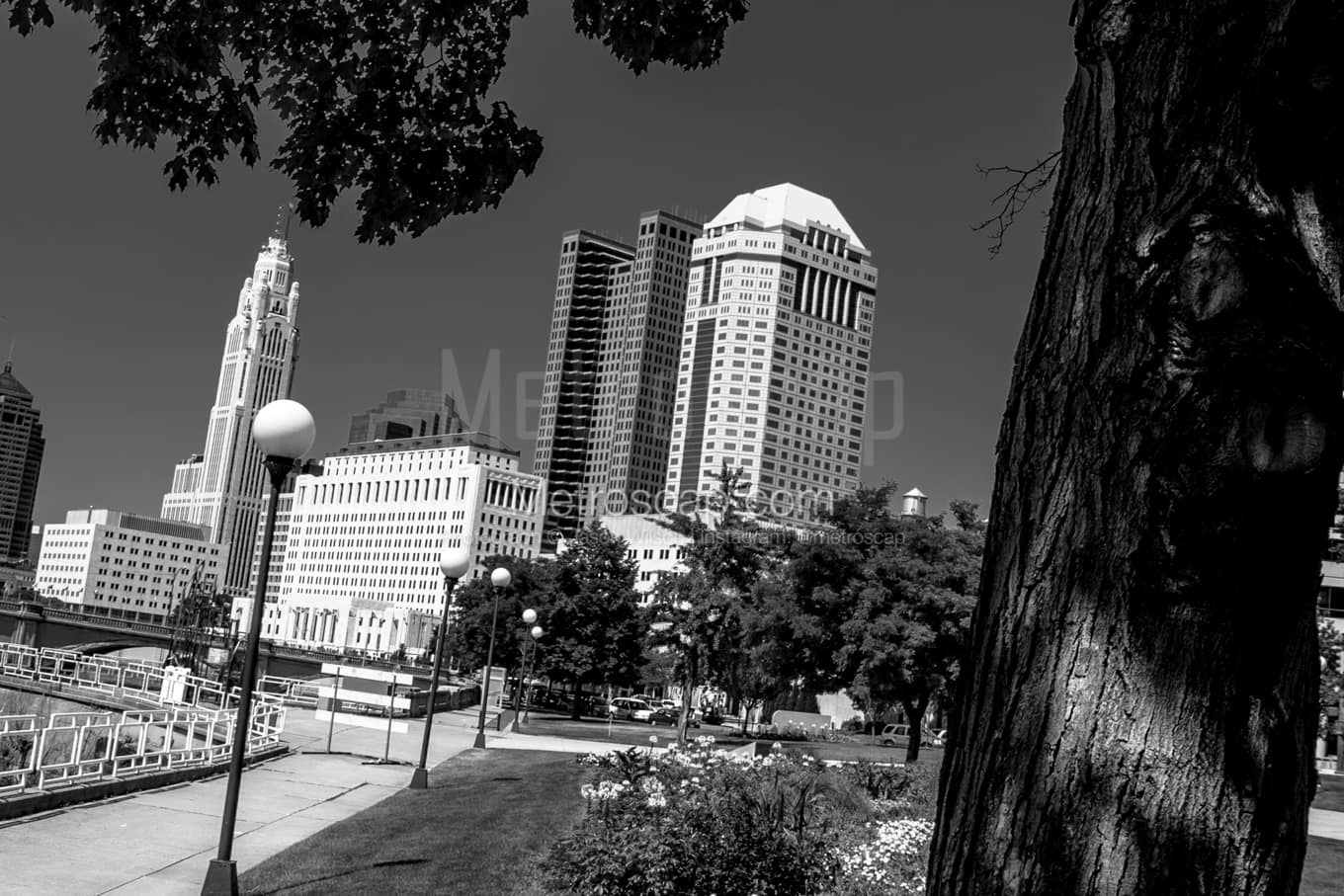 Black & White Columbus Architecture Pictures