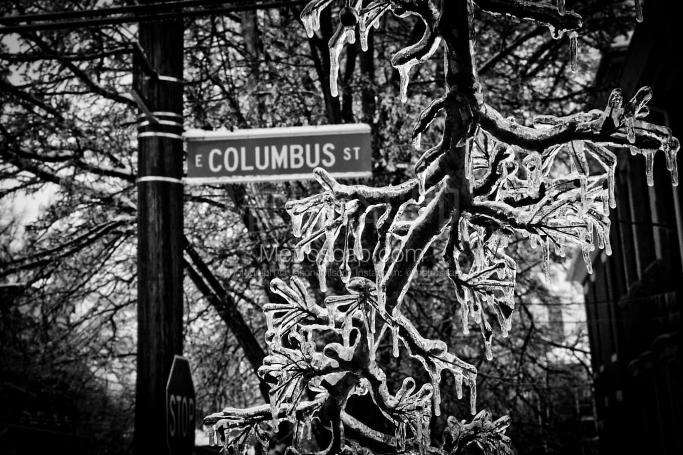 Black & White Columbus Architecture Pictures