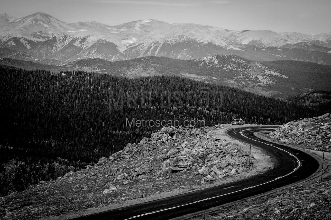 Black & White Denver Architecture Pictures