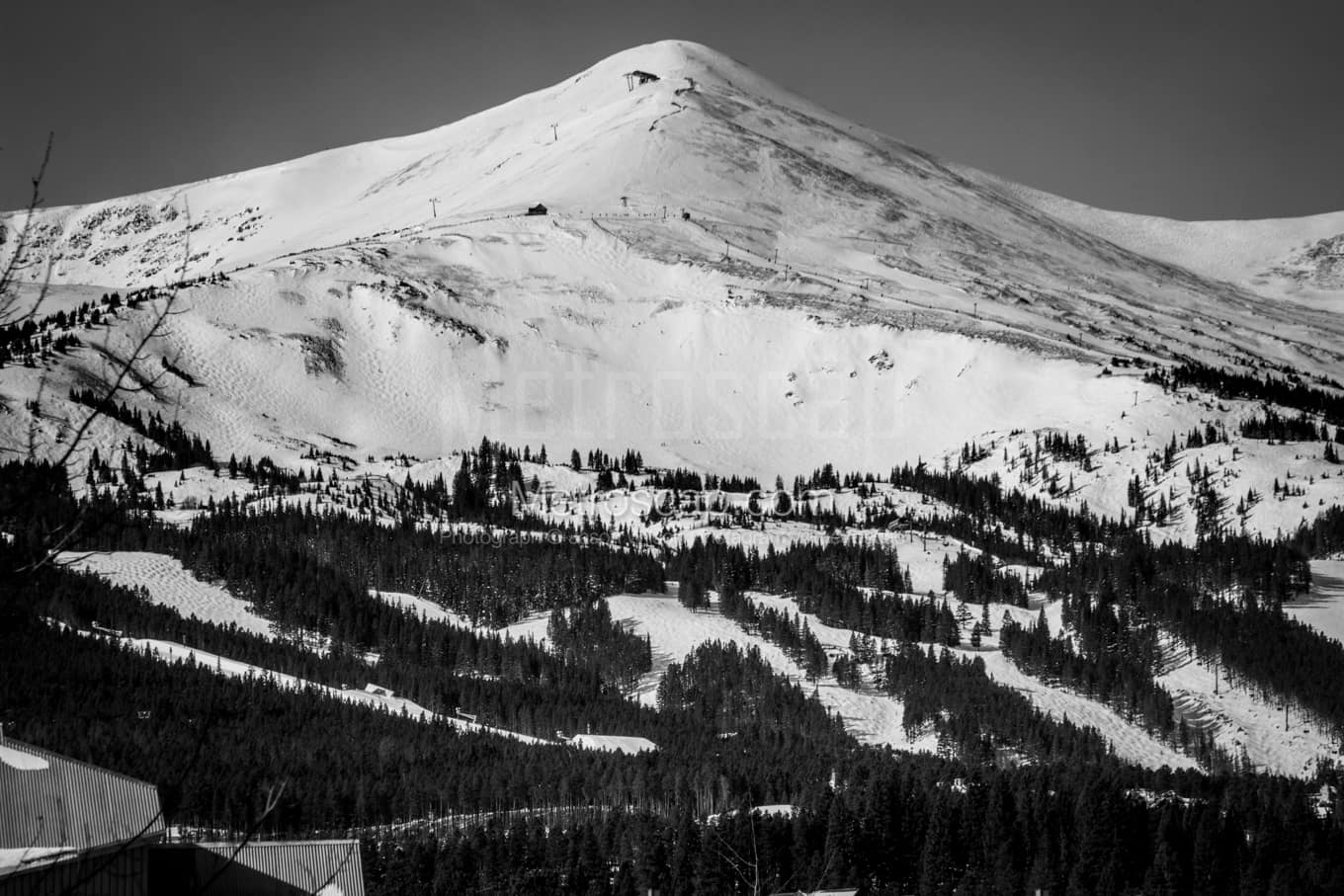 Black & White Denver Architecture Pictures