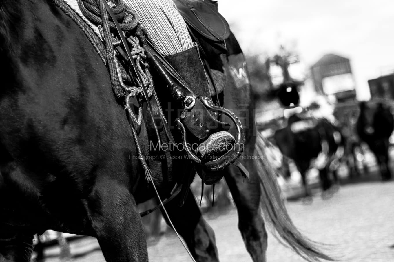 Black & White Fort Worth Architecture Pictures