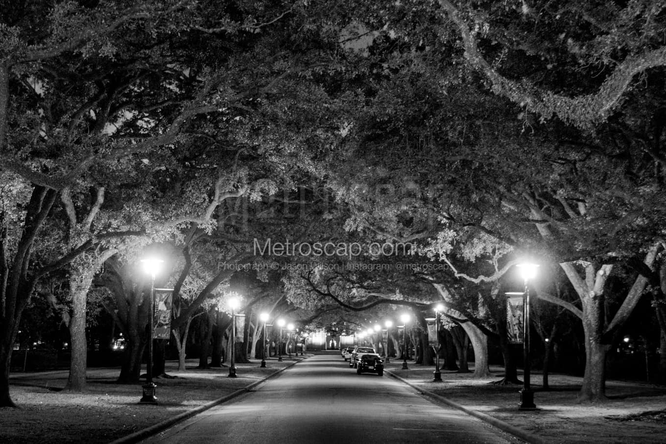 Black & White Houston Architecture Pictures