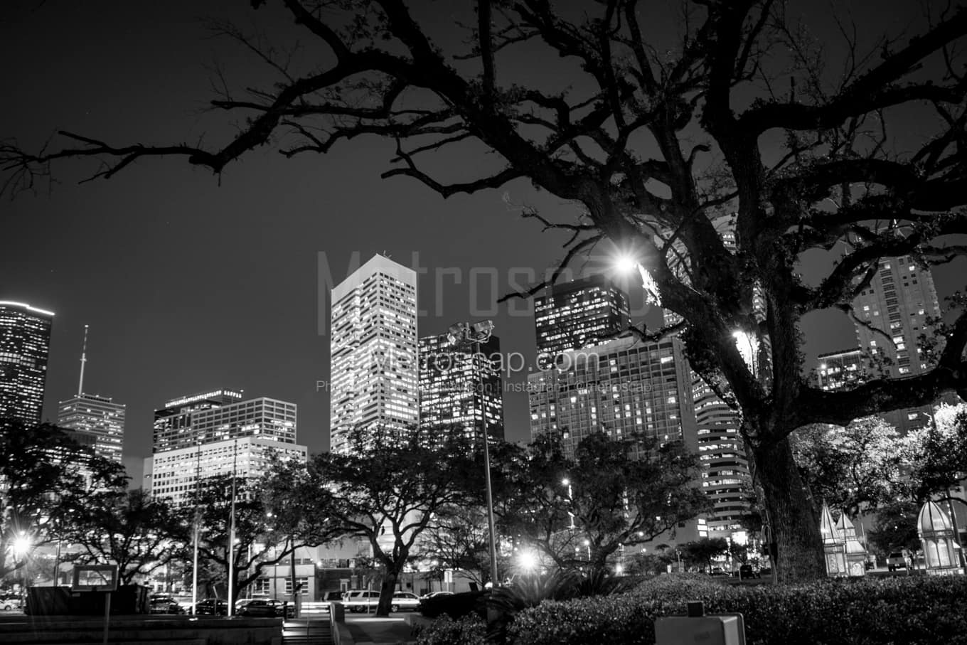 Black & White Houston Architecture Pictures