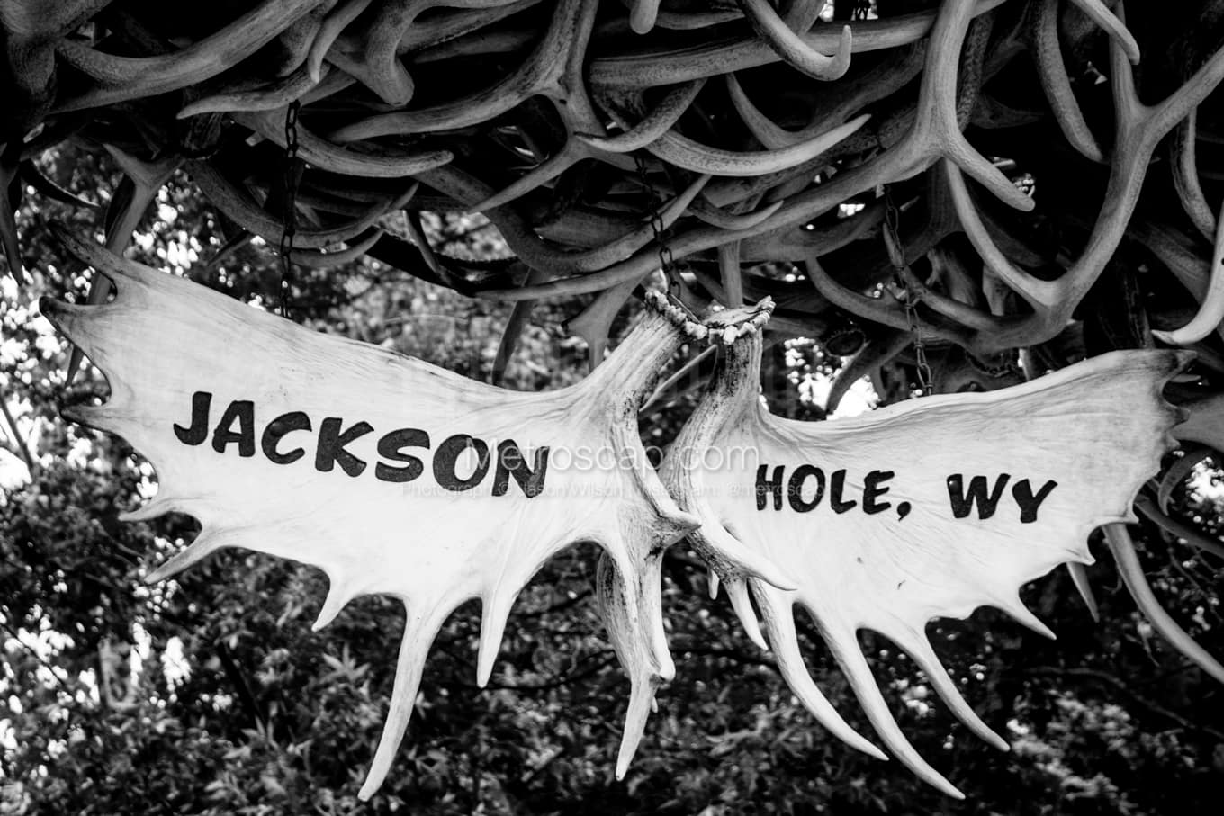 Black & White Jackson Hole Architecture Pictures