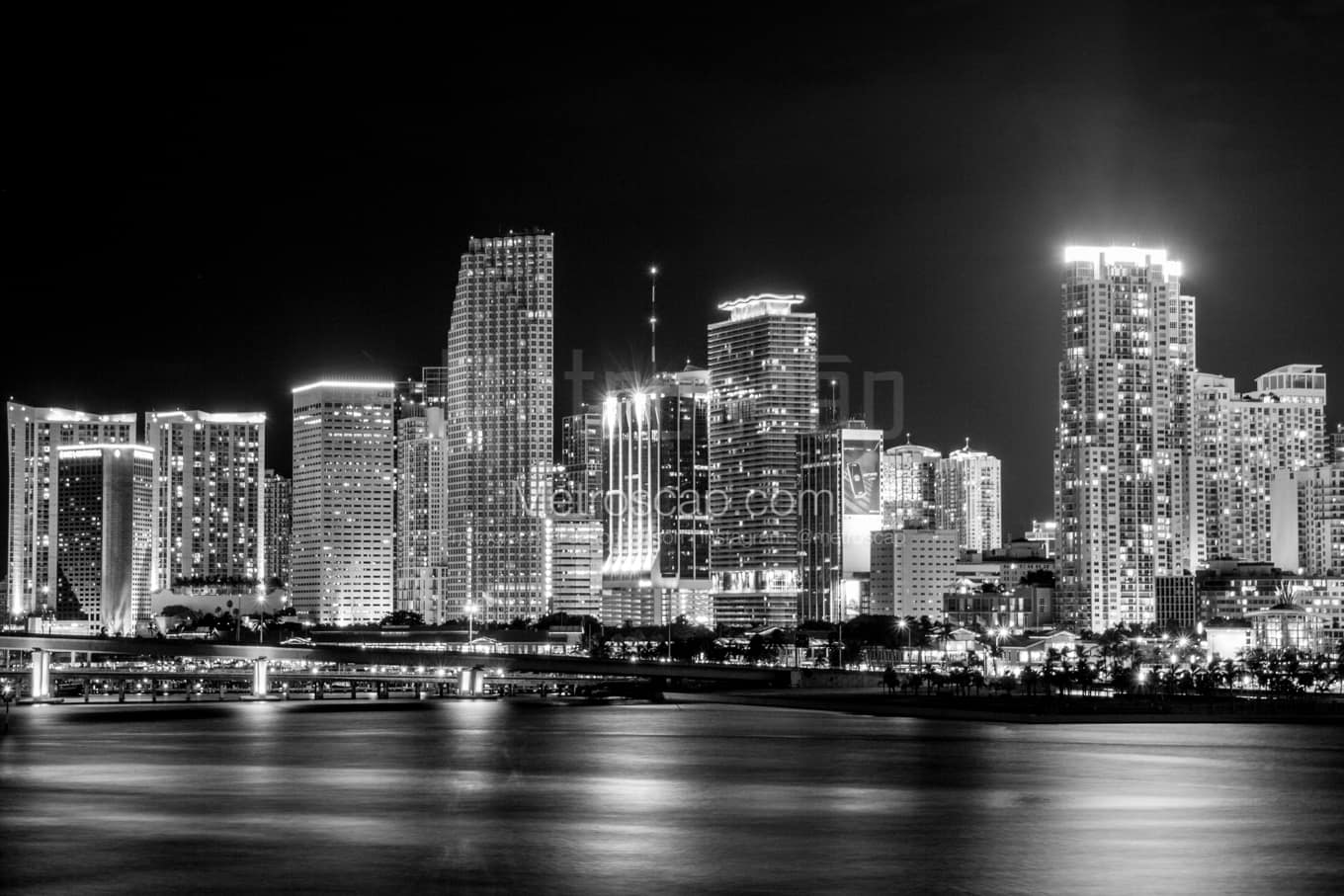 Black & White Miami Architecture Pictures