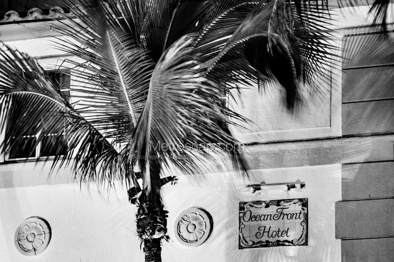 Black & White Miami Architecture Pictures