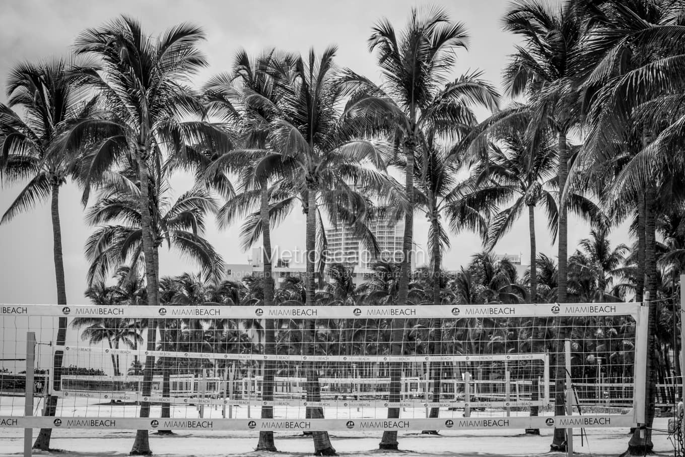 Black & White Miami Architecture Pictures