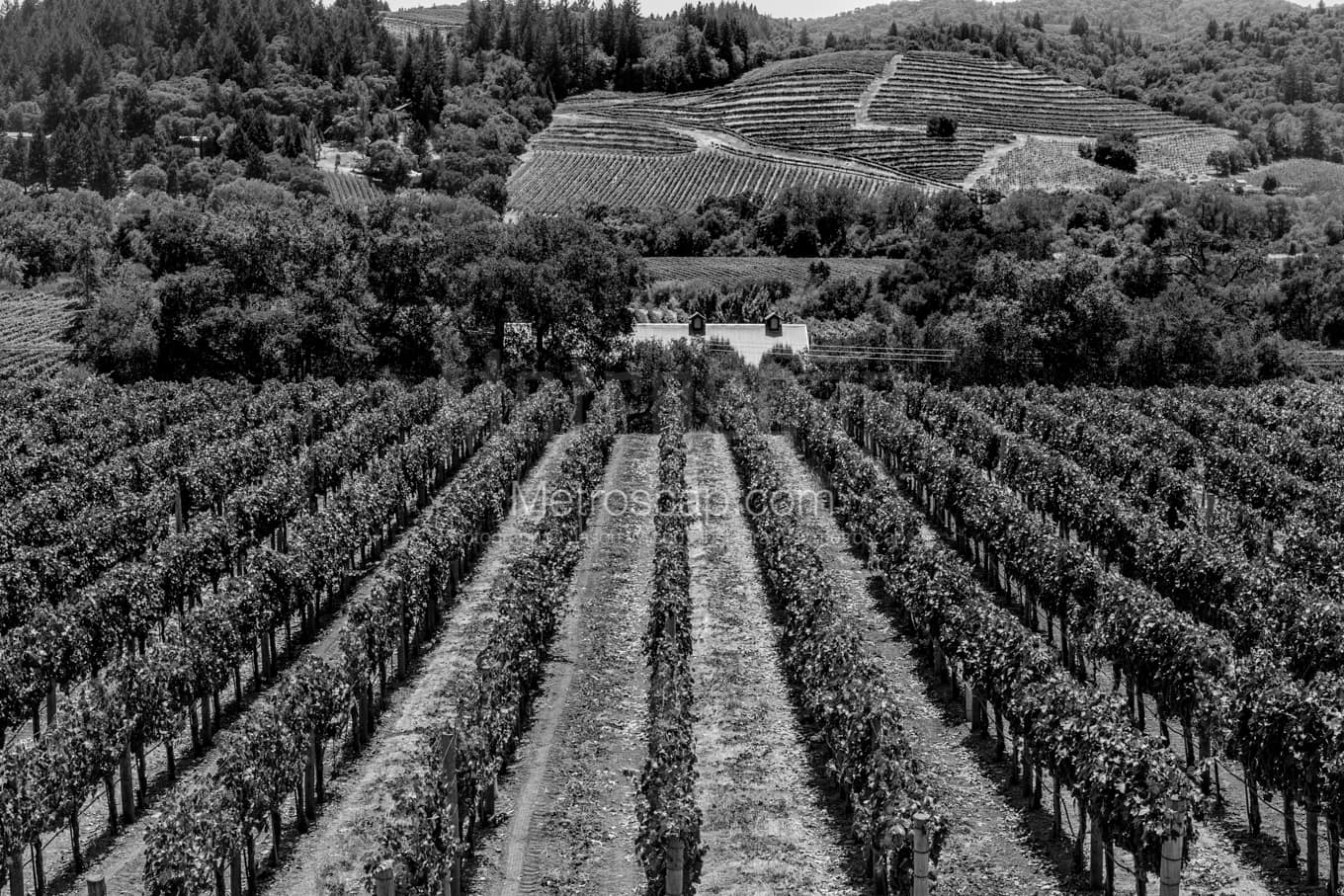 Black & White Napa-Valley Architecture Pictures