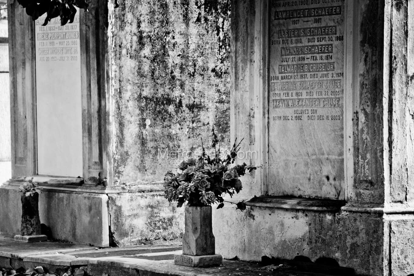 Black & White New Orleans Architecture Pictures