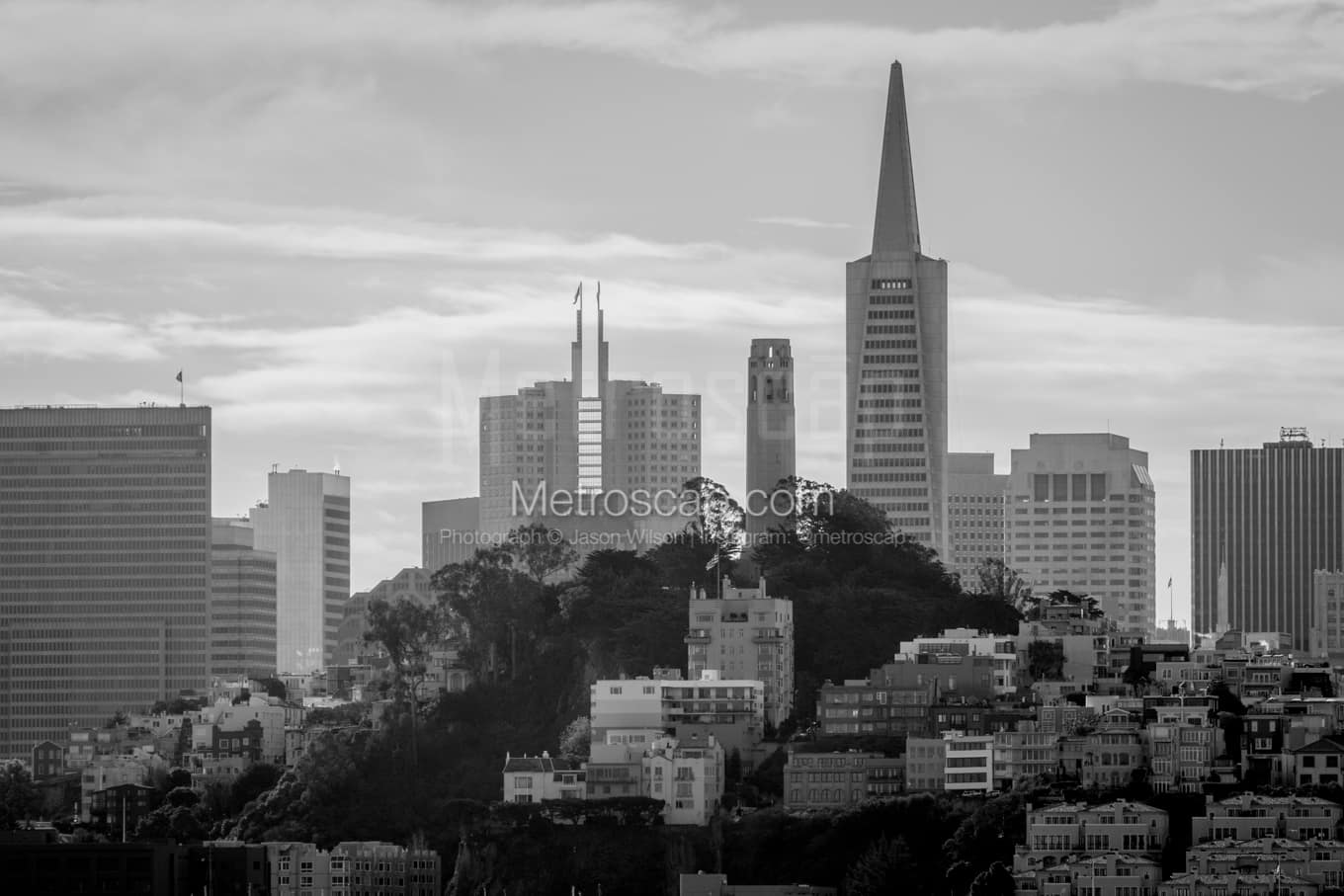 Black & White San Francisco Architecture Pictures