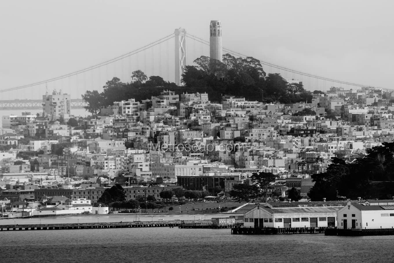 Black & White San Francisco Architecture Pictures