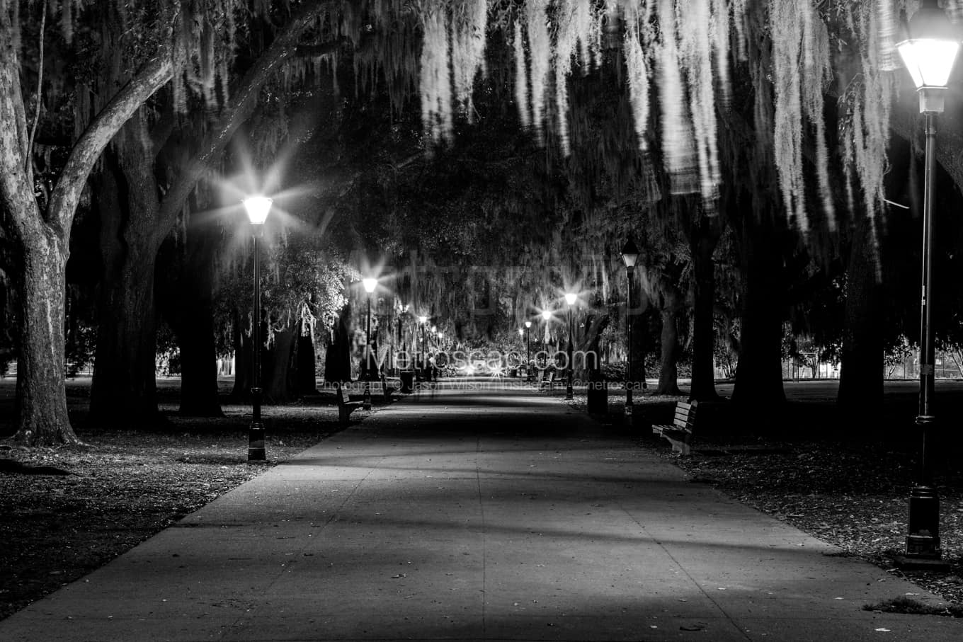 Black & White Savannah Architecture Pictures