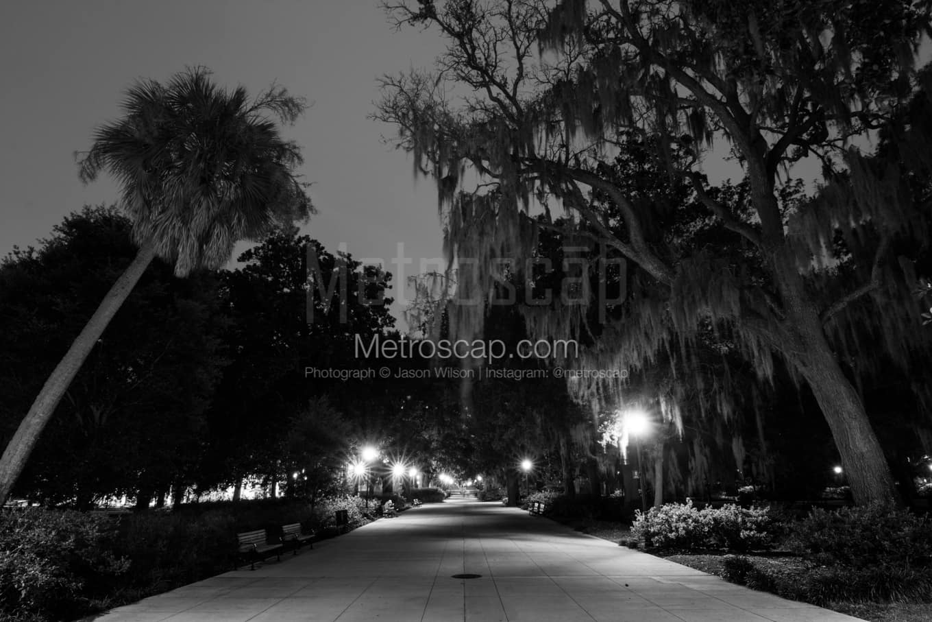 Black & White Savannah Architecture Pictures